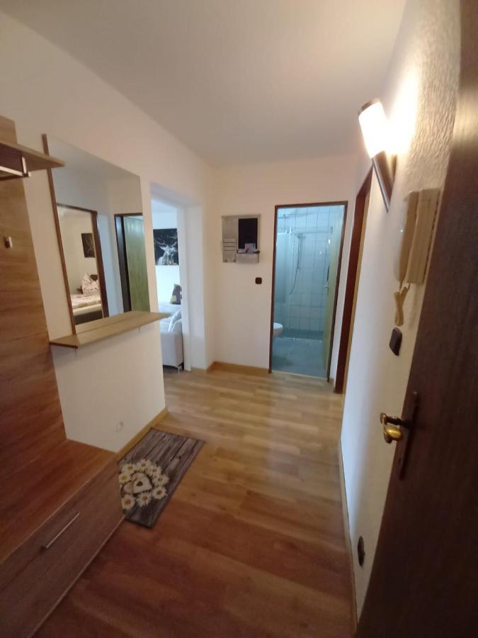 Appartement Wenger 巴特霍夫加施泰因 外观 照片