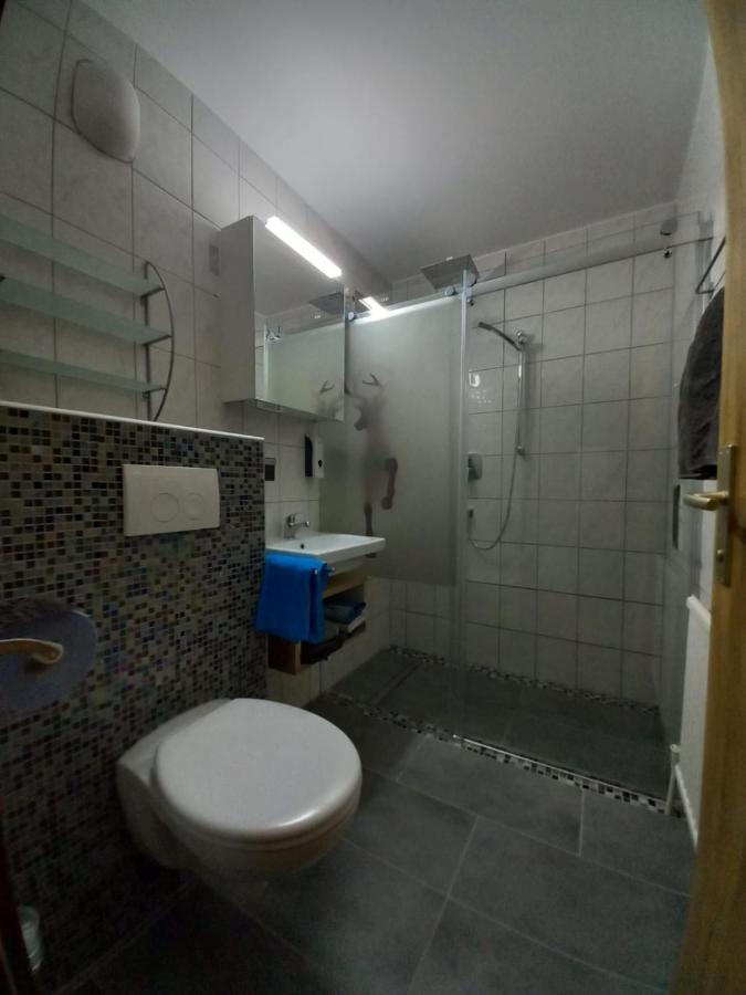 Appartement Wenger 巴特霍夫加施泰因 外观 照片